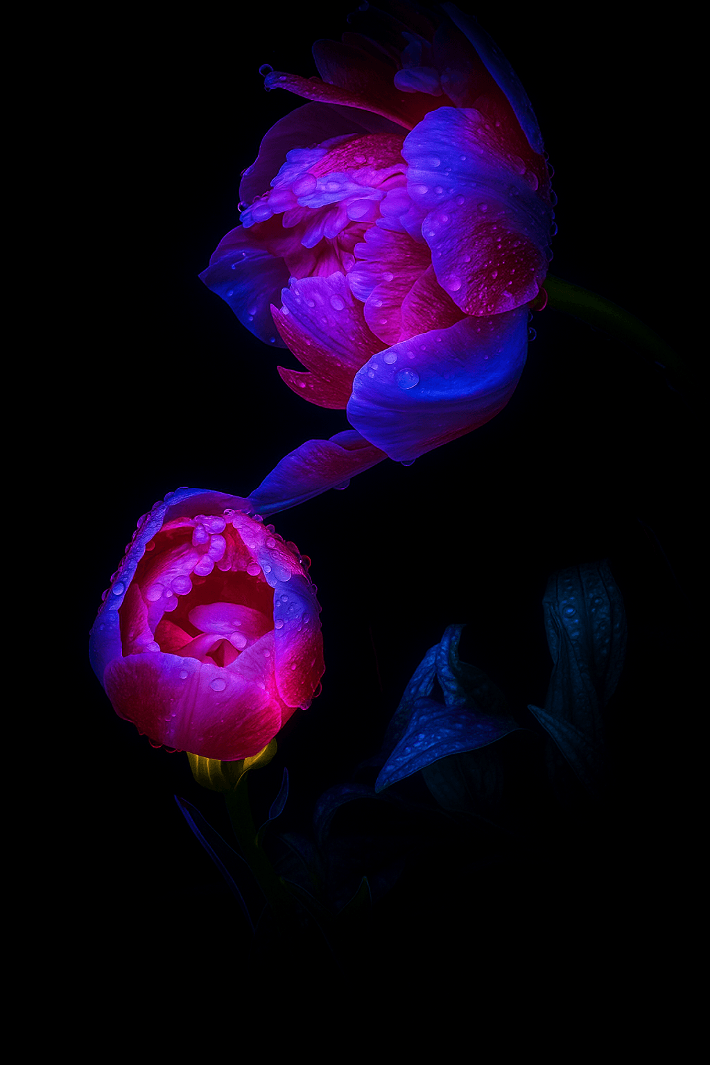 Bloemenkunst voor zakelijke interieurs