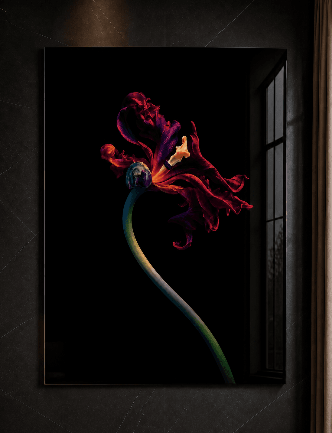 Vuurvogel, botanische kunstfotografie op Diasec door Beate Marie