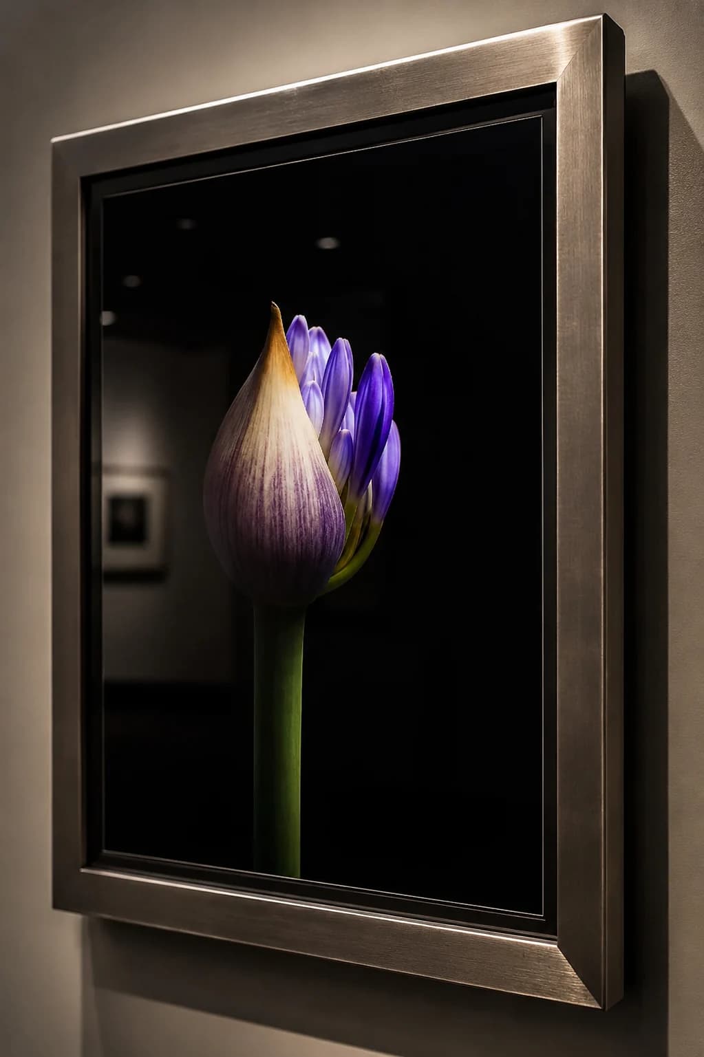 Detail van ingelijst Agapanthus kunstwerk met donkere lijst en glasdiepte