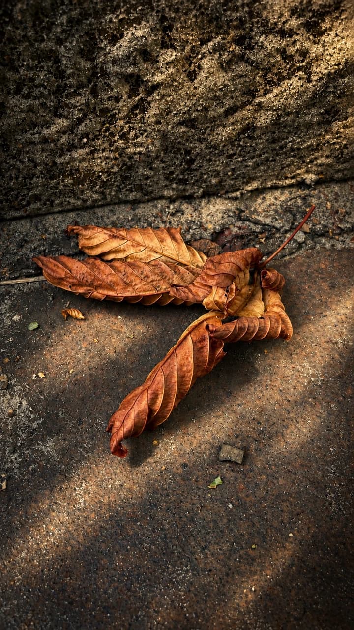 Een bruin kastanjeblad op een betonnen trap in het herfstlicht