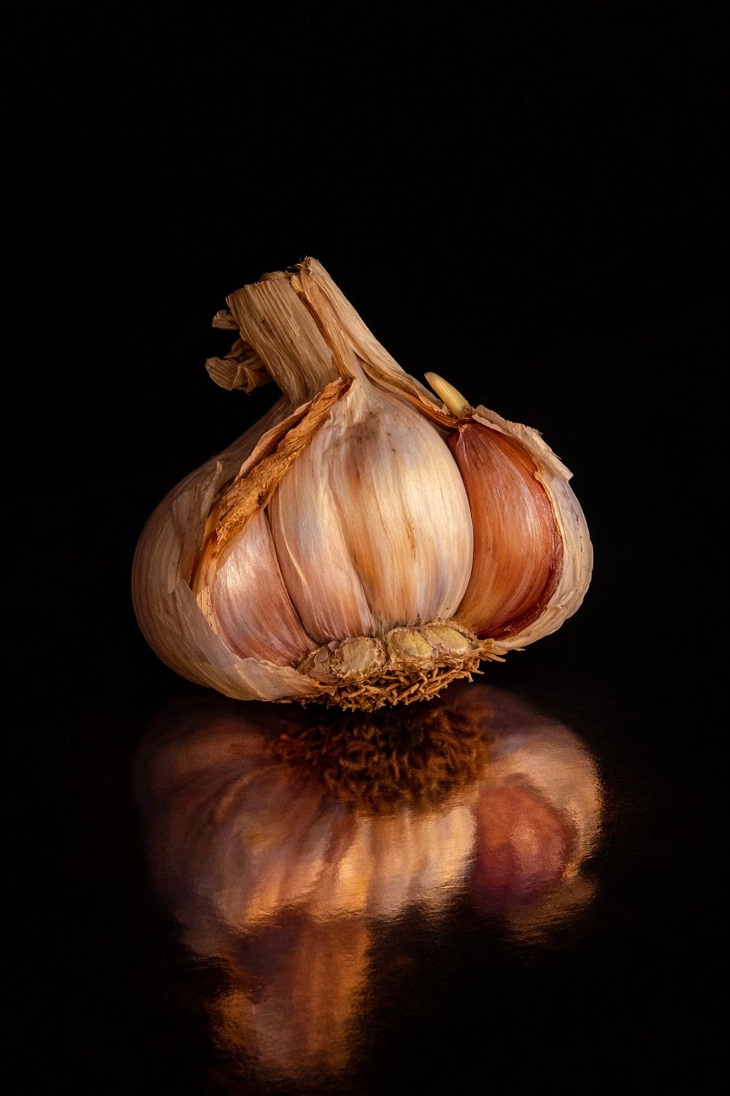 Knoflook in het licht tegen een donkere achtergrond, fotografie van Beate Marie